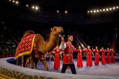 Mekdep okuwçylarynyň dynç alşy mynasybetli Aşgabatdaky sirkde her gün iki çykyş görkezilýär